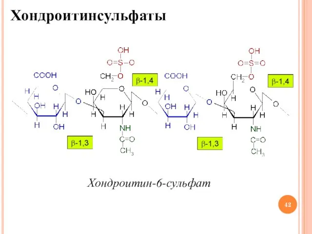 Хондроитинсульфаты Хондроитин-6-сульфат