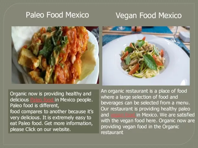 Paleo Food Mexico Vegan Food Mexico An organic restaurant is