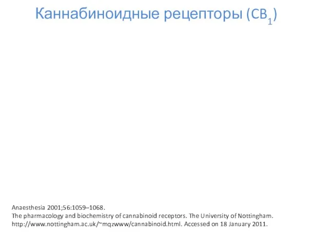 Каннабиноидные рецепторы (CB1) Anaesthesia 2001;56:1059–1068. The pharmacology and biochemistry of