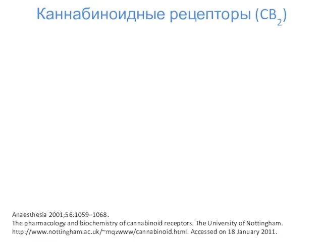 Каннабиноидные рецепторы (CB2) Anaesthesia 2001;56:1059–1068. The pharmacology and biochemistry of
