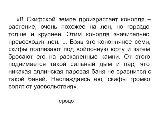 «В Скифской земле произрастает конопля – растение, очень похожее на