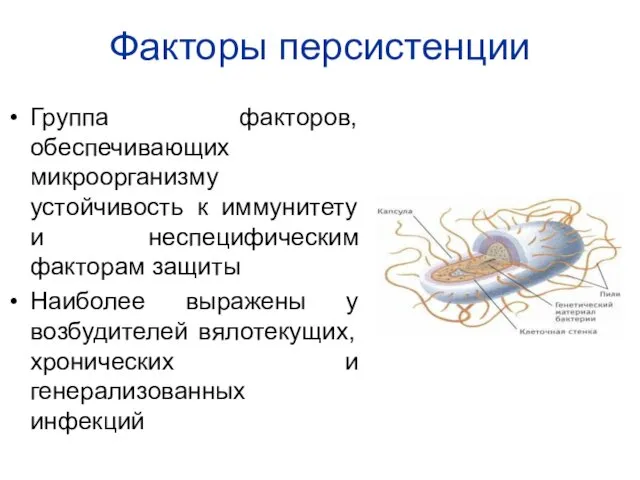 Факторы персистенции Группа факторов, обеспечивающих микроорганизму устойчивость к иммунитету и