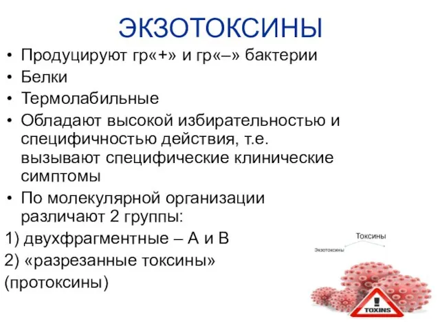 ЭКЗОТОКСИНЫ Продуцируют гр«+» и гр«–» бактерии Белки Термолабильные Обладают высокой