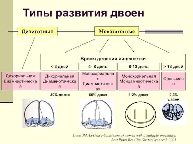 Типы развития двоен Дизиготные Монозиготные Дихориальная Диамниотическая Дихориальная Диамниотическая Монохориальная