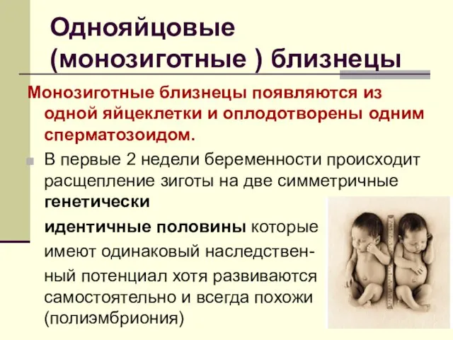 Однояйцовые (монозиготные ) близнецы Монозиготные близнецы появляются из одной яйцеклетки