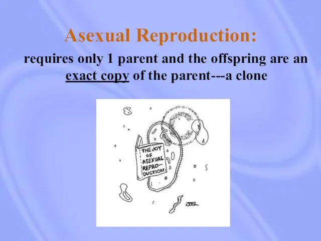 Asexual Reproduction: requires only 1 parent and the offspring are