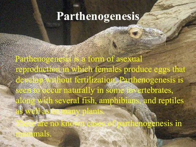 Parthenogenesis Parthenogenesis is a form of asexual reproduction in which