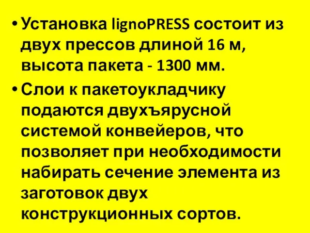 Установка lignoPRESS состоит из двух прессов длиной 16 м, высота