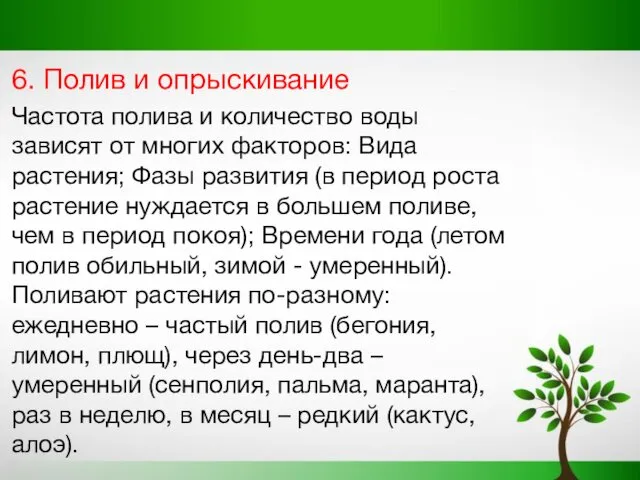 6. Полив и опрыскивание Частота полива и количество воды зависят