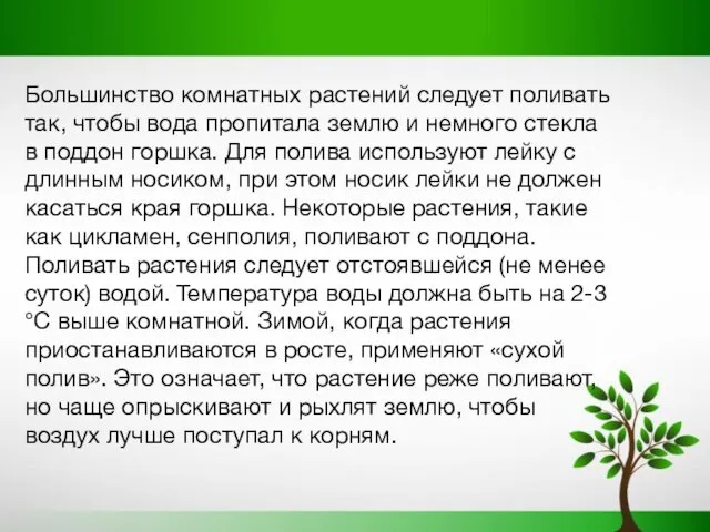 Большинство комнатных растений следует поливать так, чтобы вода пропитала землю