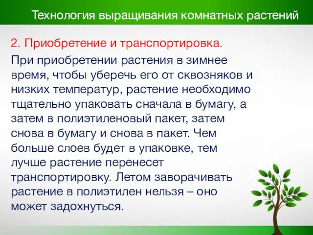 Технология выращивания комнатных растений 2. Приобретение и транспортировка. При приобретении