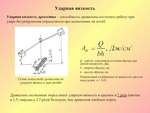 Ударная вязкость Ударная вязкость древесины – способность древесины поглощать работу