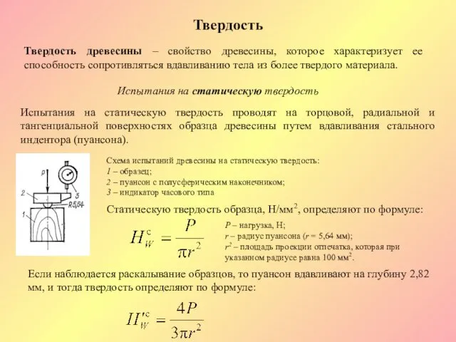 Твердость Твердость древесины – свойство древесины, которое характеризует ее способность