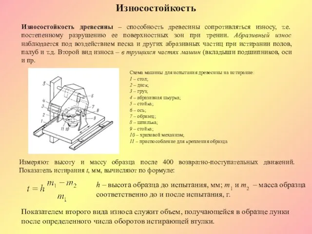 Износостойкость Износостойкость древесины – способность древесины сопротивляться износу, т.е. постепенному