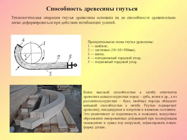 Способность древесины гнуться Принципиальная схема гнутья древесины: 1 — шаблон;