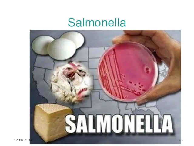 Salmonella 12.06.2014