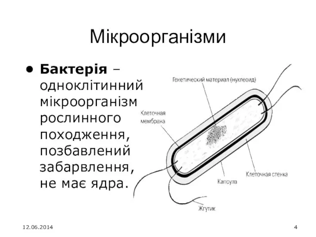 Мікроорганізми Бактерія – одноклітинний мікроорганізм рослинного походження, позбавлений забарвлення, не має ядра. 12.06.2014