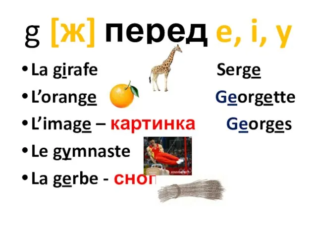 g [ж] перед e, i, y La girafe Serge L’orange Georgette L’image –