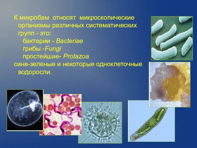 К микробам относят микроскопические организмы различных систематических групп - это: