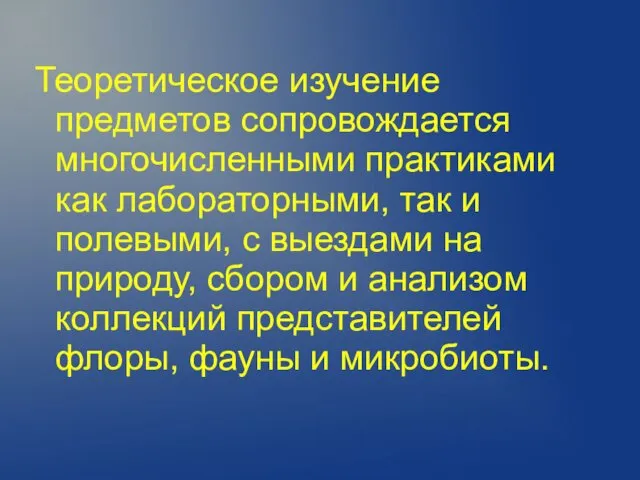 Теоретическое изучение предметов сопровождается многочисленными практиками как лабораторными, так и