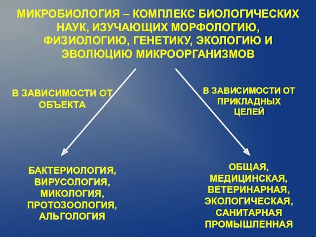 МИКРОБИОЛОГИЯ – КОМПЛЕКС БИОЛОГИЧЕСКИХ НАУК, ИЗУЧАЮЩИХ МОРФОЛОГИЮ, ФИЗИОЛОГИЮ, ГЕНЕТИКУ, ЭКОЛОГИЮ