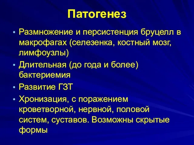 Патогенез Размножение и персистенция бруцелл в макрофагах (селезенка, костный мозг,