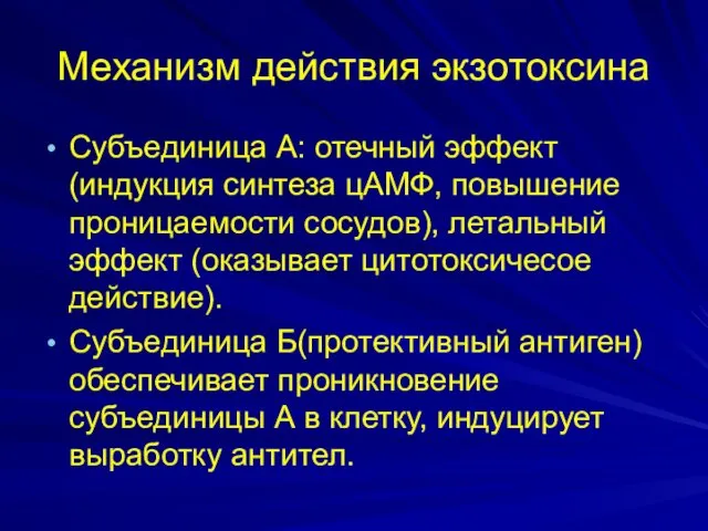 Механизм действия экзотоксина Субъединица А: отечный эффект (индукция синтеза цАМФ,