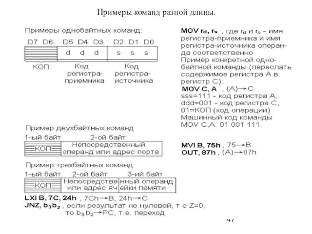 Примеры команд разной длины.