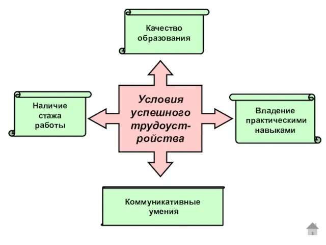 Условия успешного трудоуст- ройства Наличие стажа работы Качество образования Владение практическими навыками Коммуникативные умения