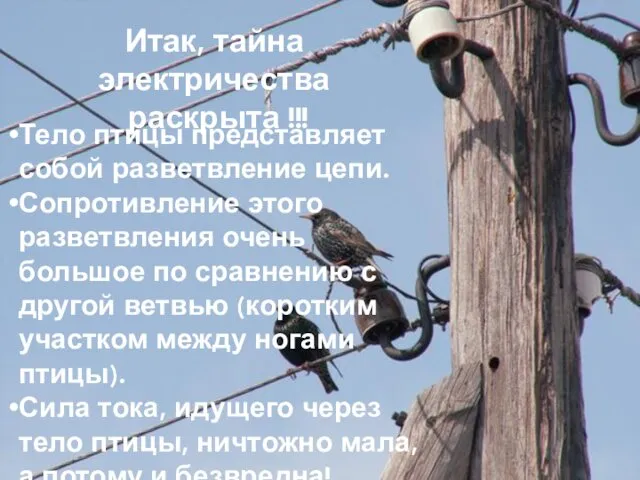 Итак, тайна электричества раскрыта !!! Тело птицы представляет собой разветвление