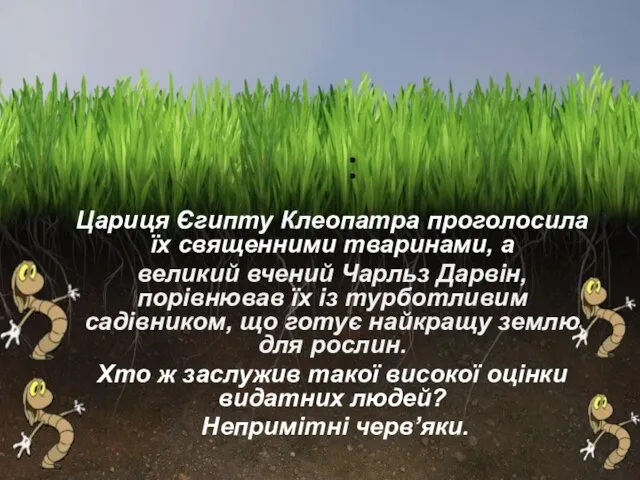 : Цариця Єгипту Клеопатра проголосила їх священними тваринами, а великий