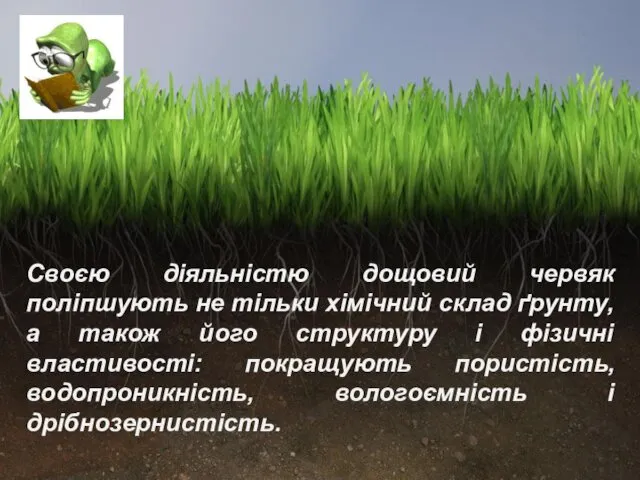 Своєю діяльністю дощовий червяк поліпшують не тільки хімічний склад ґрунту,