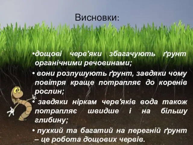 Висновки: дощові черв'яки збагачують ґрунт органічними речовинами; вони розпушують ґрунт,