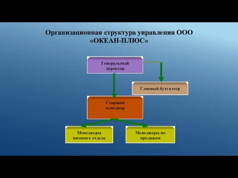 Организационная структура управления ООО «ОКЕАН-ПЛЮС»