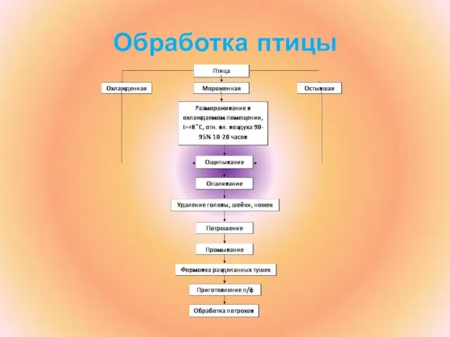 Обработка птицы