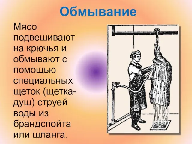 Обмывание Мясо подвешивают на крючья и обмывают с помощью специальных