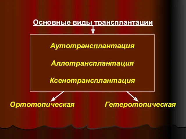 Основные виды трансплантации Ортотопическая Гетеротопическая Аутотрансплантация Аллотрансплантация Ксенотрансплантация