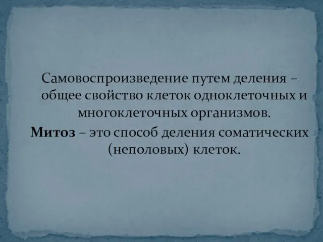 Самовоспроизведение путем деления – общее свойство клеток одноклеточных и многоклеточных