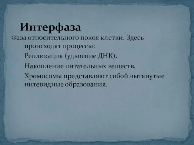 Интерфаза Фаза относительного покоя клетки. Здесь происходят процессы: Репликация (удвоение