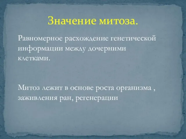 Значение митоза. Равномерное расхождение генетической информации между дочерними клетками. Митоз