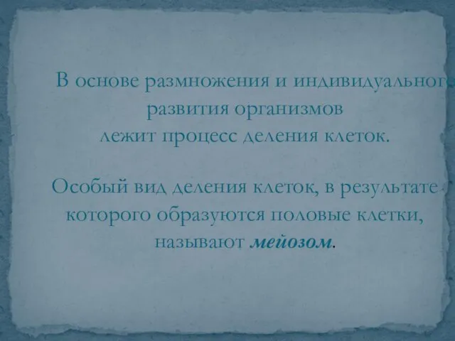 В основе размножения и индивидуального развития организмов лежит процесс деления