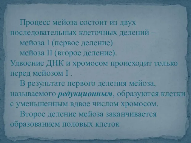 Процесс мейоза состоит из двух последовательных клеточных делений – мейоза