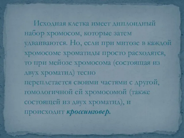 Исходная клетка имеет диплоидный набор хромосом, которые затем удваиваются. Но,