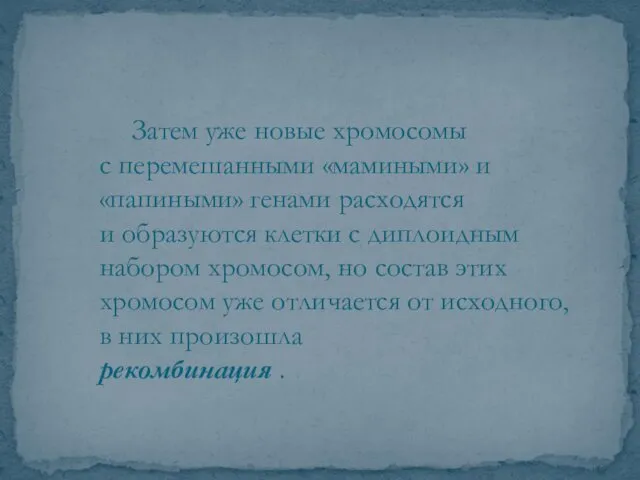 Затем уже новые хромосомы с перемешанными «мамиными» и «папиными» генами