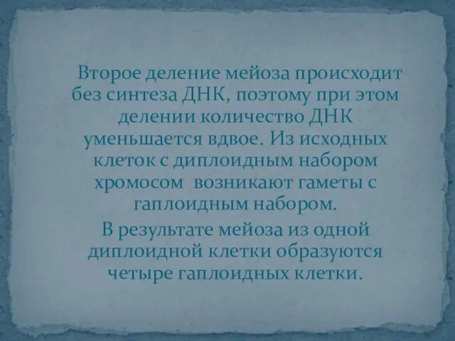 Второе деление мейоза происходит без синтеза ДНК, поэтому при этом