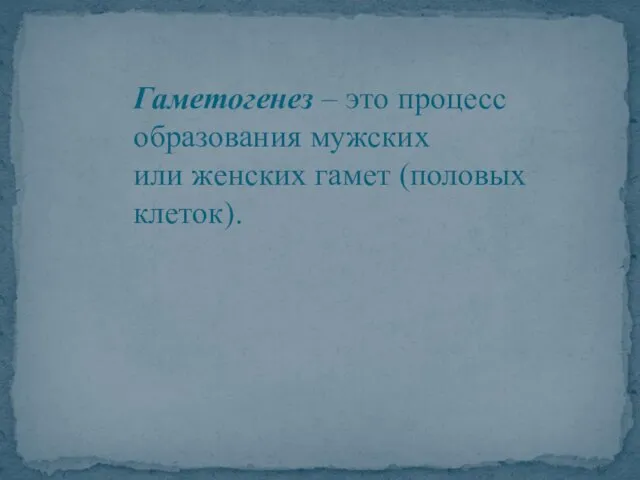 Гаметогенез – это процесс образования мужских или женских гамет (половых клеток).