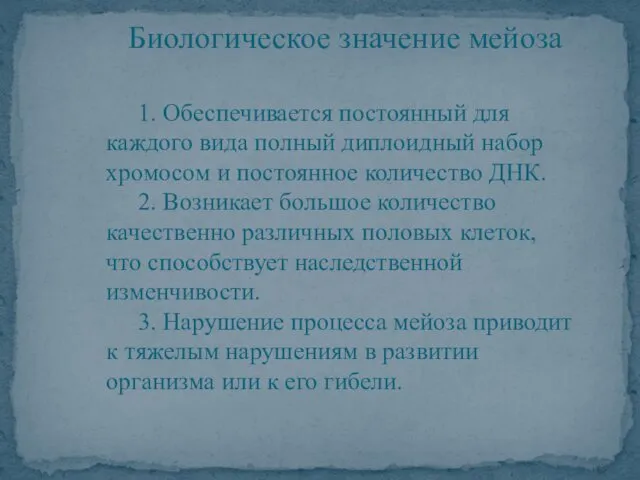 Биологическое значение мейоза 1. Обеспечивается постоянный для каждого вида полный