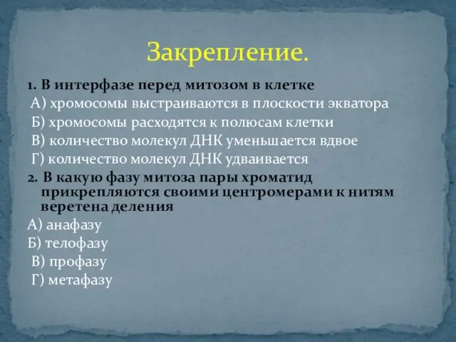 1. В интерфазе перед митозом в клетке А) хромосомы выстраиваются