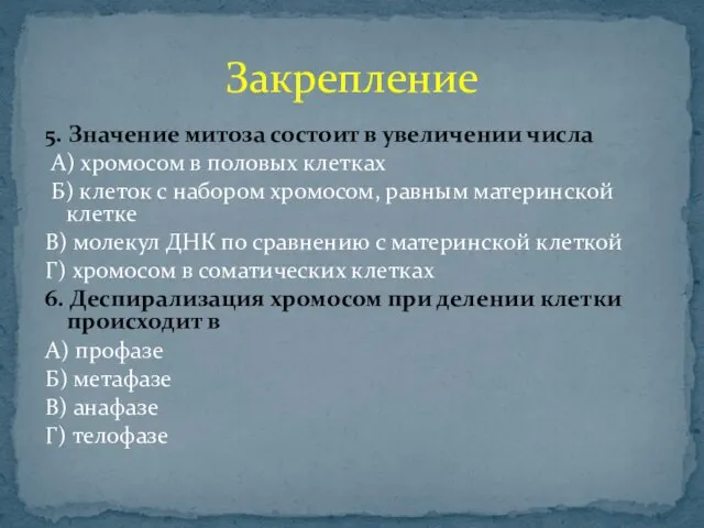 5. Значение митоза состоит в увеличении числа А) хромосом в