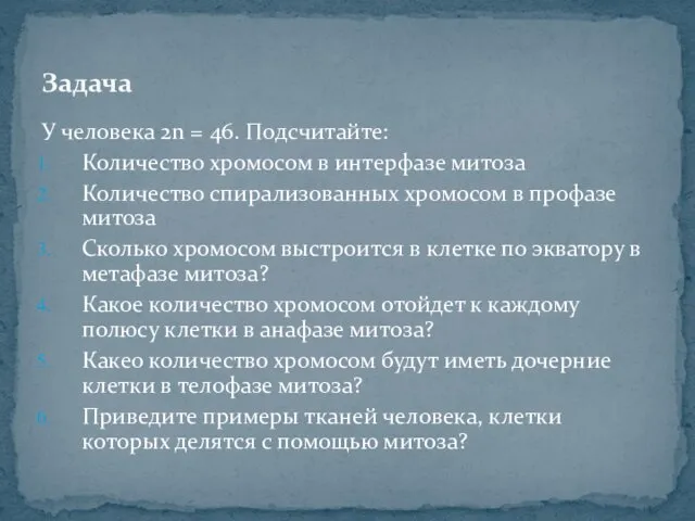 Задача У человека 2n = 46. Подсчитайте: Количество хромосом в